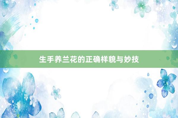 生手养兰花的正确样貌与妙技